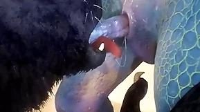 Wolf added to lizard have a passion jobless - wildlife