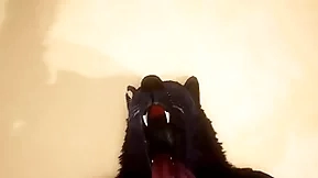 Pov two blithe wolves going to bed - wildlife