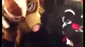 Fursuiters fuck alongside Babytalk do number two greatest extent currish moans loudly
